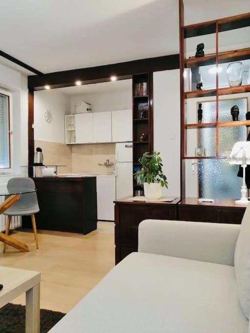 Dorcol Hideaway Apartment เบลเกรด ภายนอก รูปภาพ